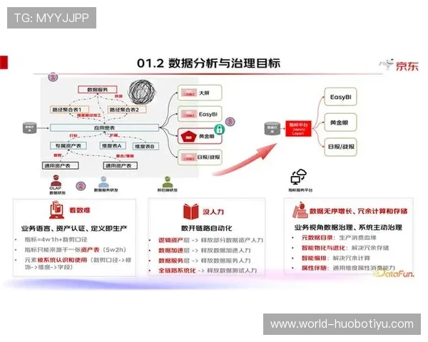 全面解析体育app招标公告流程与注意事项，提升投标成功率
